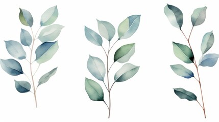Fototapeta na wymiar Eucalyptus leaves set. Watercolor hand drawn illustration. Generative AI