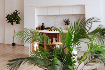 Modern kitchen featuring a white marble countertop and wooden bar stools and decorative plants. The kitchen island, with a sink and fruit. Concept interior design, home decor, and real estate themes. 