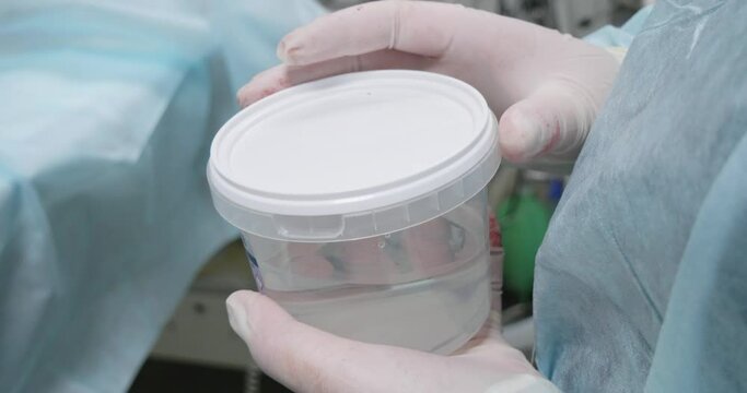 An assistant holds a biopsy jar in surgery. The veterinarian places a piece of tissue for histological examination in a biopsy jar. Container with formaldehyde for sending tissues for histology.