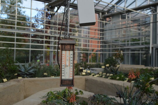 Serre de Lille.,jardin des plantes, thermom&egrave;tre 