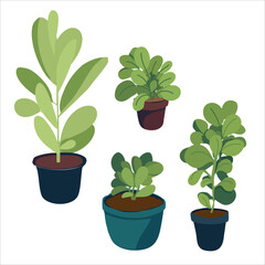 Indoor plant in a pot. decoration for a cozy home. Everyday life. Vector illustration on a blue background.