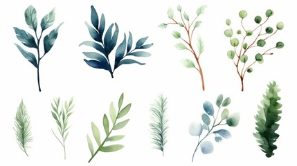 Watercolor set of eucalyptus branches, leaves and branches. Hand drawn illustration. Generative AI