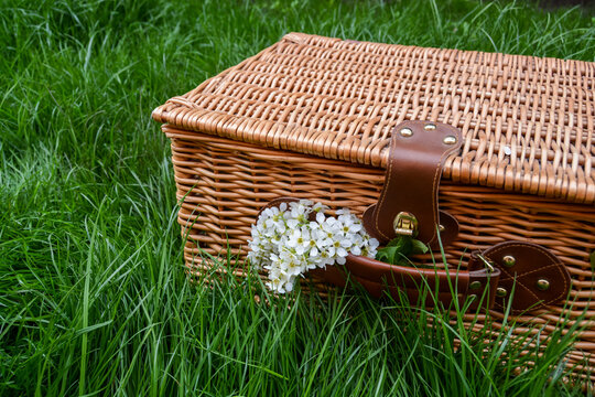 Picnic in nature. Picnic basket on the grass. - Powered by Adobe