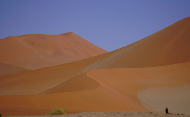 Fototapeta na wymiar Large red sand dunes, Sossusvlei, Namibia