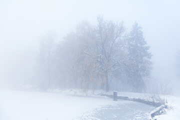 Obraz na płótnie Canvas Krajobraz zimowy, mglisty świt (Winter landscape, foggy dawn)