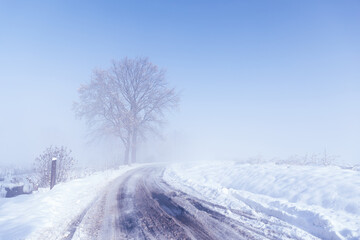 Krajobraz zimowy, mglisty świt (Winter landscape, foggy dawn)