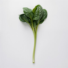 Spinach on a white background close-up. Generative AI