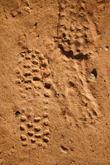 foot prints in brown sand