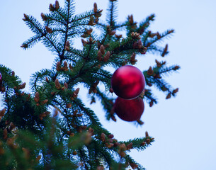 Christmas decoration details on Christmas tree