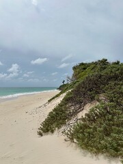 Scenic view of Silver Rock Beach, Barbados