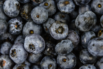 Background of the many blueberries. Healthy eating concept