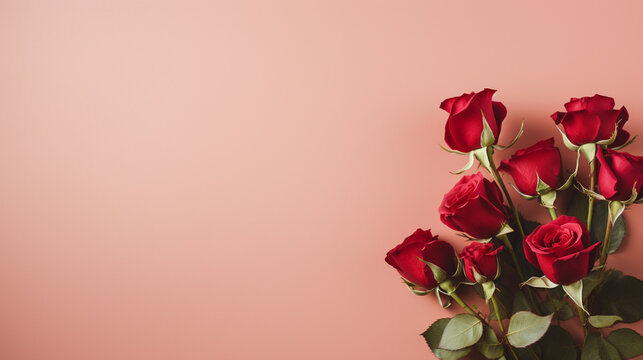 Beautifully captured red roses on a gentle pale red background, creating a harmonious and charming visual with copyspace, highlighting the elegance of these flowers in a high-definition photograph.