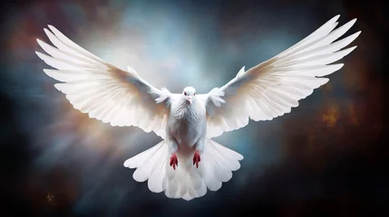 Foto op Canvas White dove of peace is a symbol of peace and freedom. Stop war and military attack. World peace concept. Flying bird. © Irina