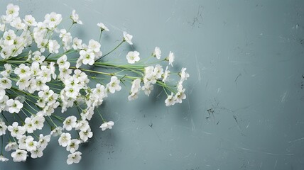 colored gypsophila flowers on a concrete background in a minimalist modern style, with ample copy space, allowing for versatile use in design or promotional materials.