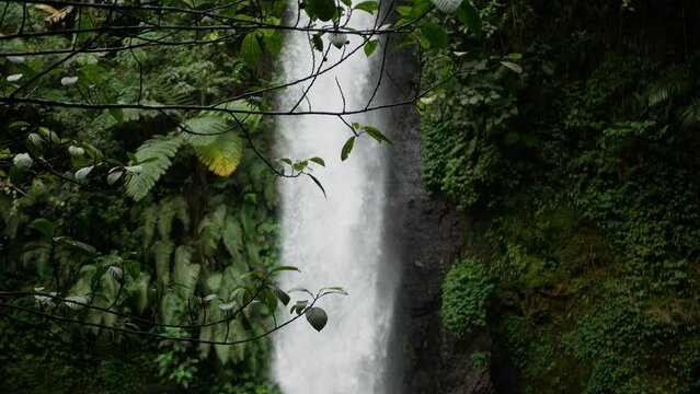 Blurred waterfall with focused leaf and branch. Jungle waterfall cascade in tropical rainforest. Located in wisata situ gunung, Sukabumi, West Java, Indonesia
