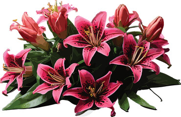 Bouquet of pink Stargazer flower 