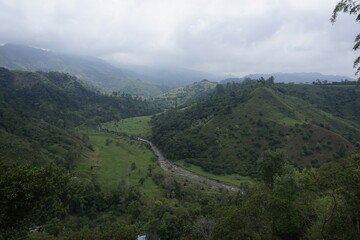 Lush landscape on the way to a coffee farm close to Salento, Eje Cafetero, Colombia