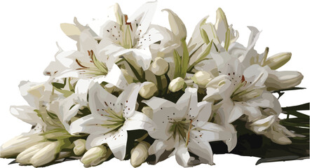 Fototapeta na wymiar bouquet of white Stargazer flower