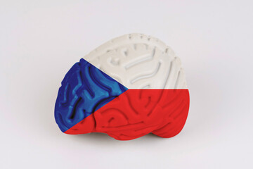 On a white background, a model of the brain with a picture of a flag - Czech