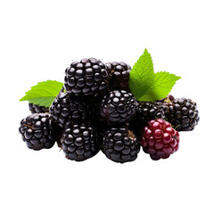 Bunch of Blackberries isolated on a wite transparent background