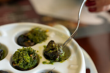 Starter dish in traditional restaurants on Burgundy, snails cooked with butter, garlic and herbs, France