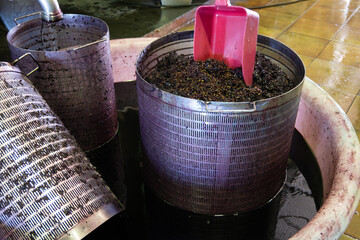 Harvesting works, fermentation of pressed grapes juice in steel vats, Cabernet Sauvignon grape...