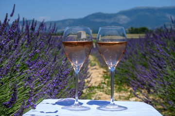 Summer in French Provence, cold gris rose wine from Cotes de Provence and blossoming colorful lavender fields on Valensole plateau, tastes and aromas of Provence, France