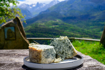 Cabrales artisan blue cheese made by rural dairy farmers in Asturias, Spain from unpasteurized...