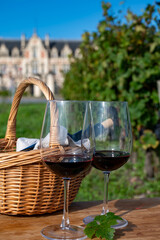 Tasting of Bordeaux blended red wine on green vineyards with rows of red Cabernet Sauvignon grape variety of Haut-Medoc vineyards, Bordeaux, left bank of Gironde Estuary, France