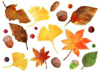 落ち葉とどんぐりのイラスト素材　手描き　水彩風