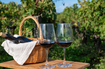 Tasting of Bordeaux blended red wine on green vineyards with rows of red Cabernet Sauvignon grape...