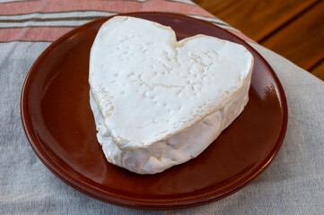 Cheese collection, French cheese from Normandy region, heart-shaped neufchatel close up