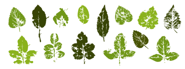 Fotobehang Set of leaf prints.Decorative botanical elements.Vector graphics. © Екатерина Якубович