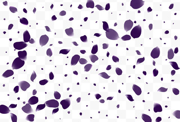 Delicate Geranium Beauty Vector White Transparent