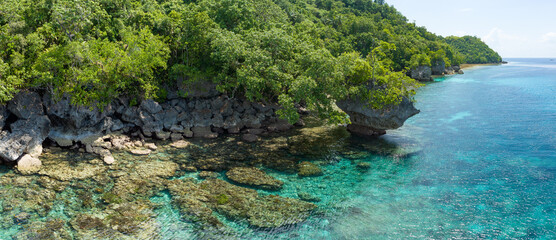 Naklejka na ściany i meble A healthy coral reef fringes a lush, tropical island near Ambon, Indonesia. This remote, tropical area harbors extraordinary marine biodiversity.