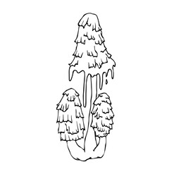 Linear sketch of a toadstool mushroom.Vector graphics.