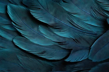 Tableaux ronds sur aluminium Photographie macro background texture photo macro pigeon feather blue natural crow graphic nature fashion plumage round weightless animal tribal cygnet bird design isolated dove softness pattern white black purity