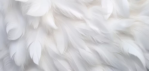 Foto op Aluminium A high-resolution image showcasing a 3D wall texture with an elegant, white swan feather pattern. 8k, © Creative artist1