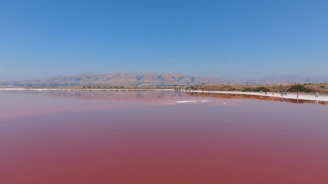Pink salt ponds at Alviso Marina County Park, gateway to the Don Edwards San Francisco Bay National Wildlife Refuge. Aerial view of the pink lake.