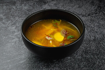 Traditional Russian and Ukrainian cuisine, appetizing chicken soup with egg on a dark background