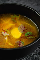 Traditional Russian and Ukrainian cuisine, appetizing chicken soup with egg on a dark background