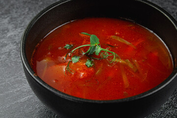 Traditional Russian and Ukrainian cuisine, appetizing red borscht on a dark background