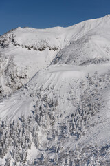 冬の武尊山の山肌