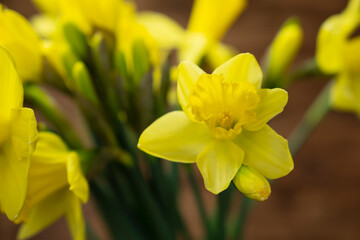 Yellow narcissus and daffodil on rustic wooden background, floral nature photography, Easter wallpaper