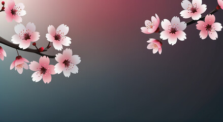 Fototapeta premium cherry blossom background