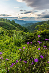 Obraz premium landscape of mountain beautiful countryside of Thailand