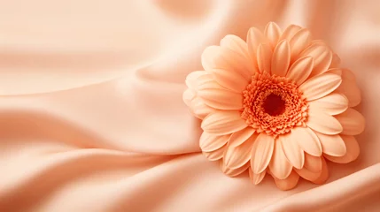 Fototapeten A single flower sitting on top of a white cloth. Monochrome peach fuzz background. © tilialucida