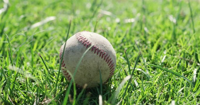 Grass, field and baseball equipment on ground for fitness, exercise or training at outdoor park in summer. Sports, softball closeup and green lawn at game, competition or match on an empty background