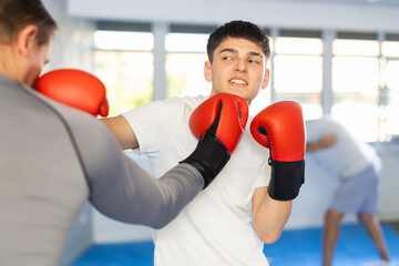 Man and guy in boxing gloves punch deliver blow each other during training sparring session. Practical use of technique and force of impact in combat practice. - obrazy, fototapety, plakaty