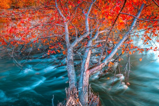 Zelter River in the province of Selenge, Mongolia, Asia